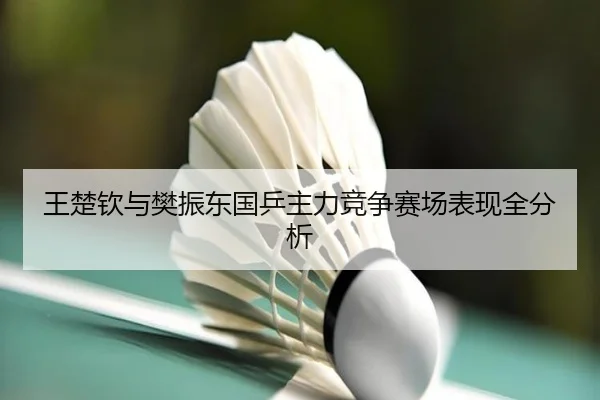 王楚钦与樊振东国乒主力竞争赛场表现全分析